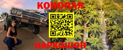 сатива Тверь